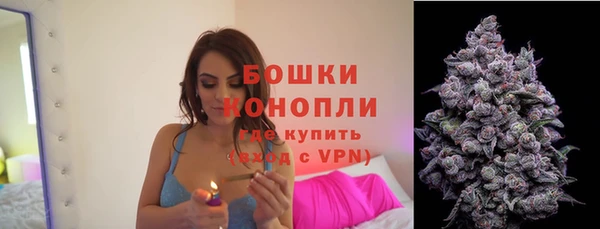 тгк Бронницы