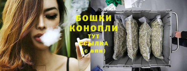 тгк Бронницы