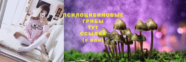тгк Бронницы